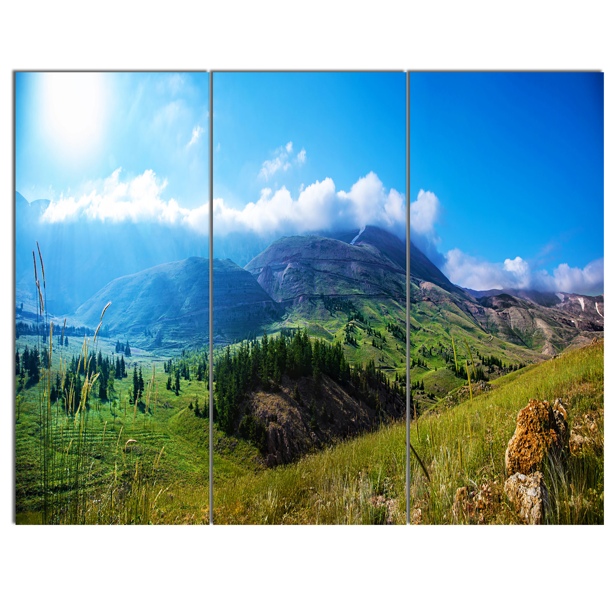 Tiger Prowl Panoramic Canvas Print Modern Art 4 Sizes to Choose Ready to Hang