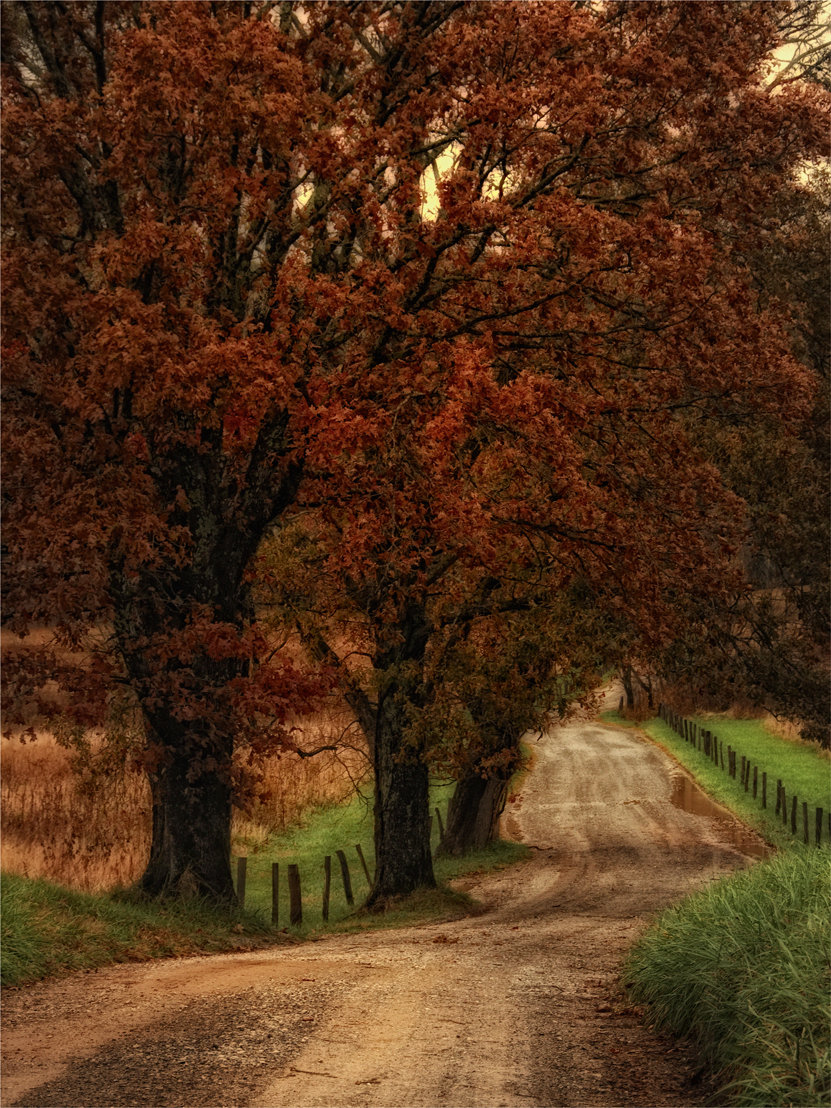 Art Effects Dirt Road By Danny Head Wrapped Photographic Print On Canvas Wayfair