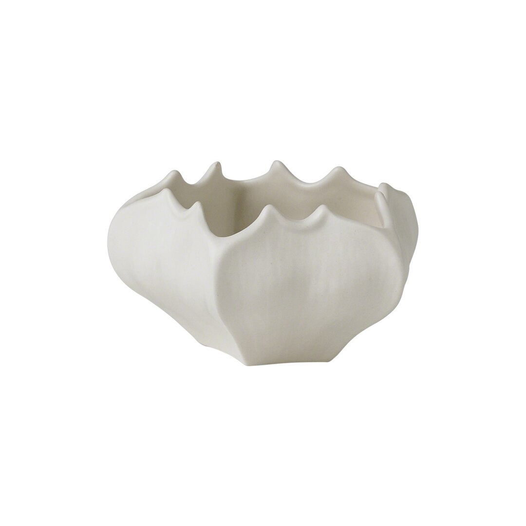 Online Designer Combined Living/Dining Star Fruit Ceramic Abstract Farmhouse Decorative Bowl in Matte White