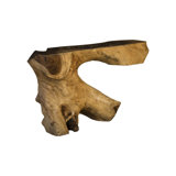 Origins 15 Solid Wood Console Table by Phillips Collection