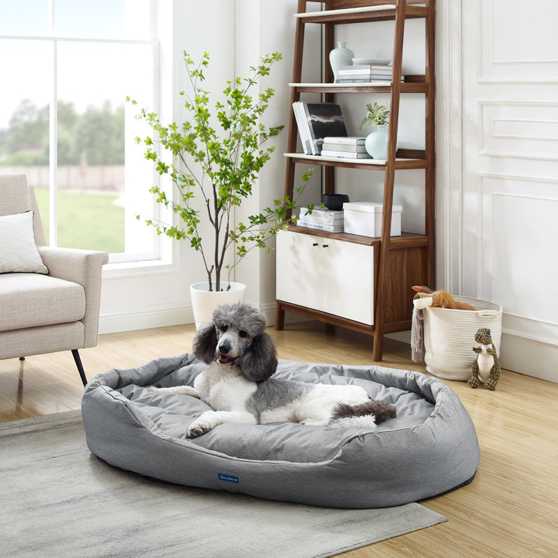dog beds at sams club