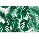 Get Wallpaper Coastal Wallpaper You Ll Love In 2020 Wayfair For iPhone