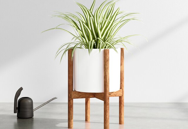 Best of: Planters