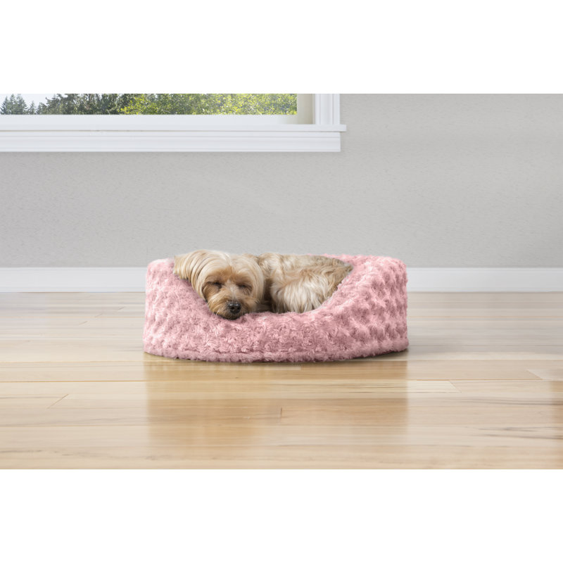 Purchase \u003e oval dog bed cushion