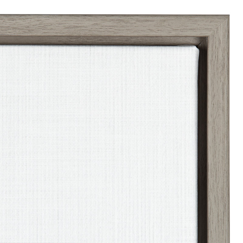Baby Zebra Black And White Portrait Framed Art Allmodern
