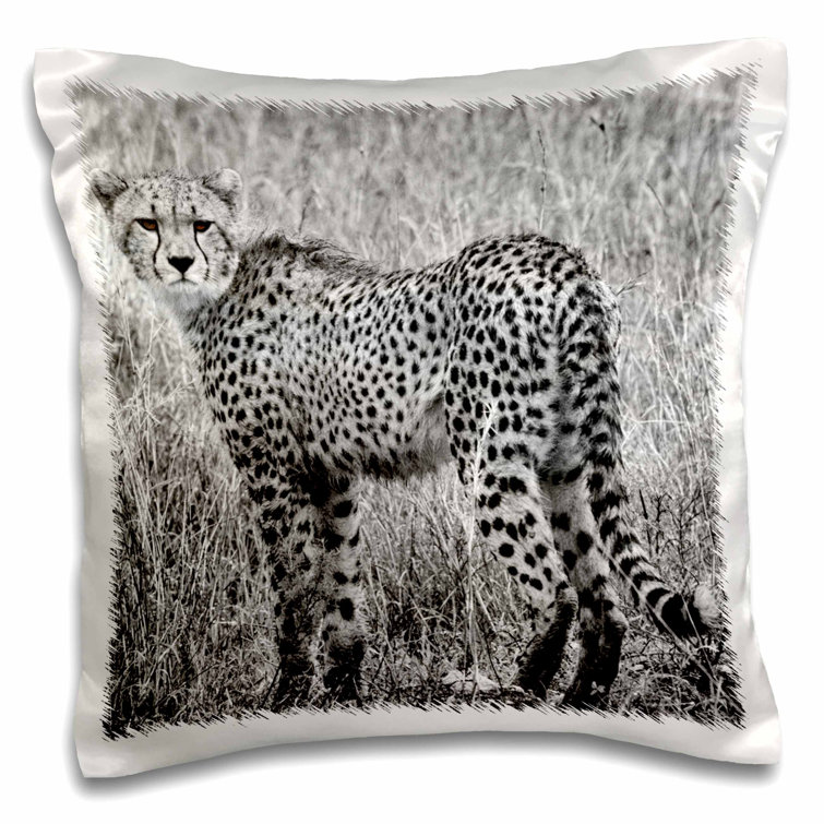 cheetah pillow case