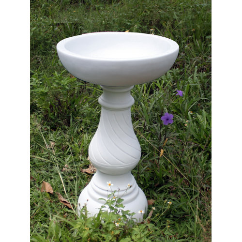 Stefon Bird Bath Sol 72 Outdoor