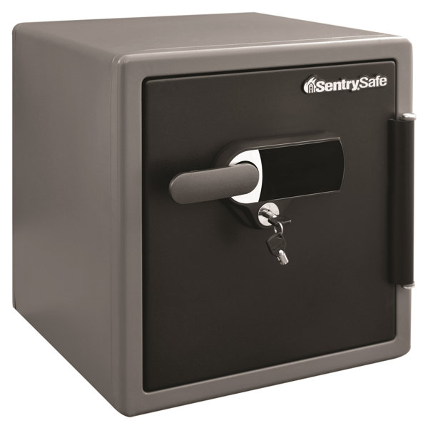 Sentrysafe Alarm Security Safe With Dual Lock Reviews Wayfair