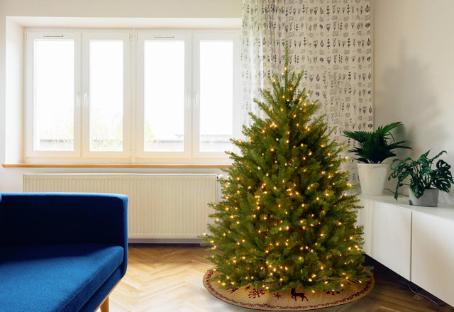 Our Favorite Christmas Trees