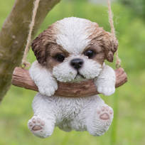 shih tzu items