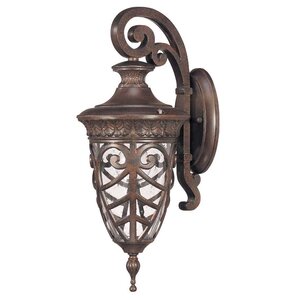 Dunamoy Traditional 1-Light Outdoor Wall Lantern