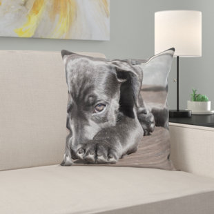 Pet Throws Wayfair Pet Throw Pillow