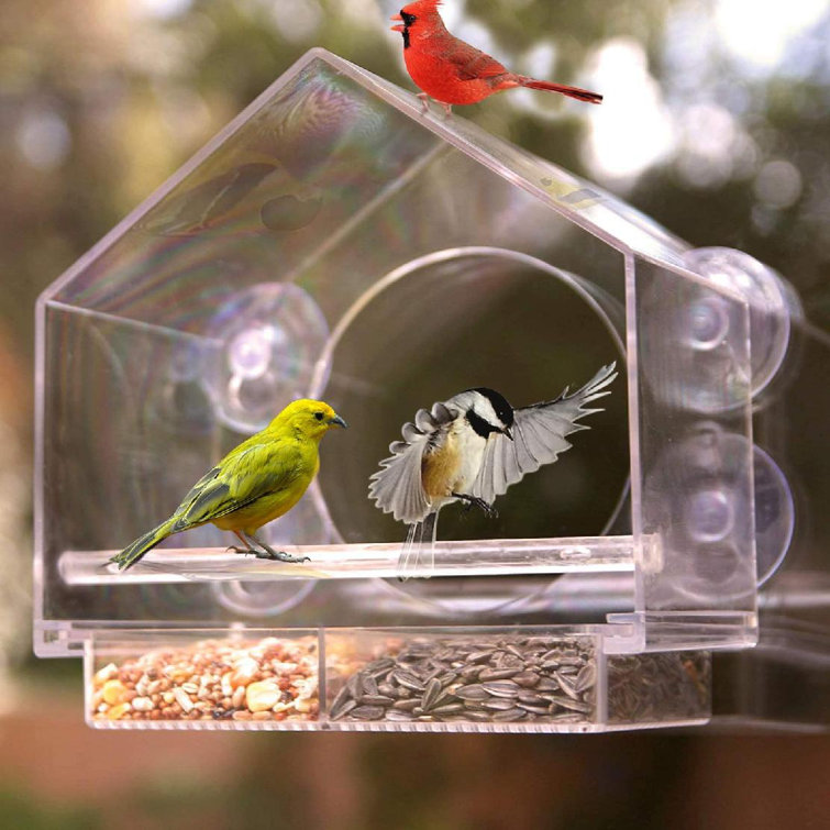 Acrylic Window Bird Feeder with Strong Suction Cup Seed Tray Outdoor Birdfeeders 