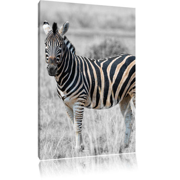 East Urban Home Single Zebra In Wild Grass Art Print On Canvas