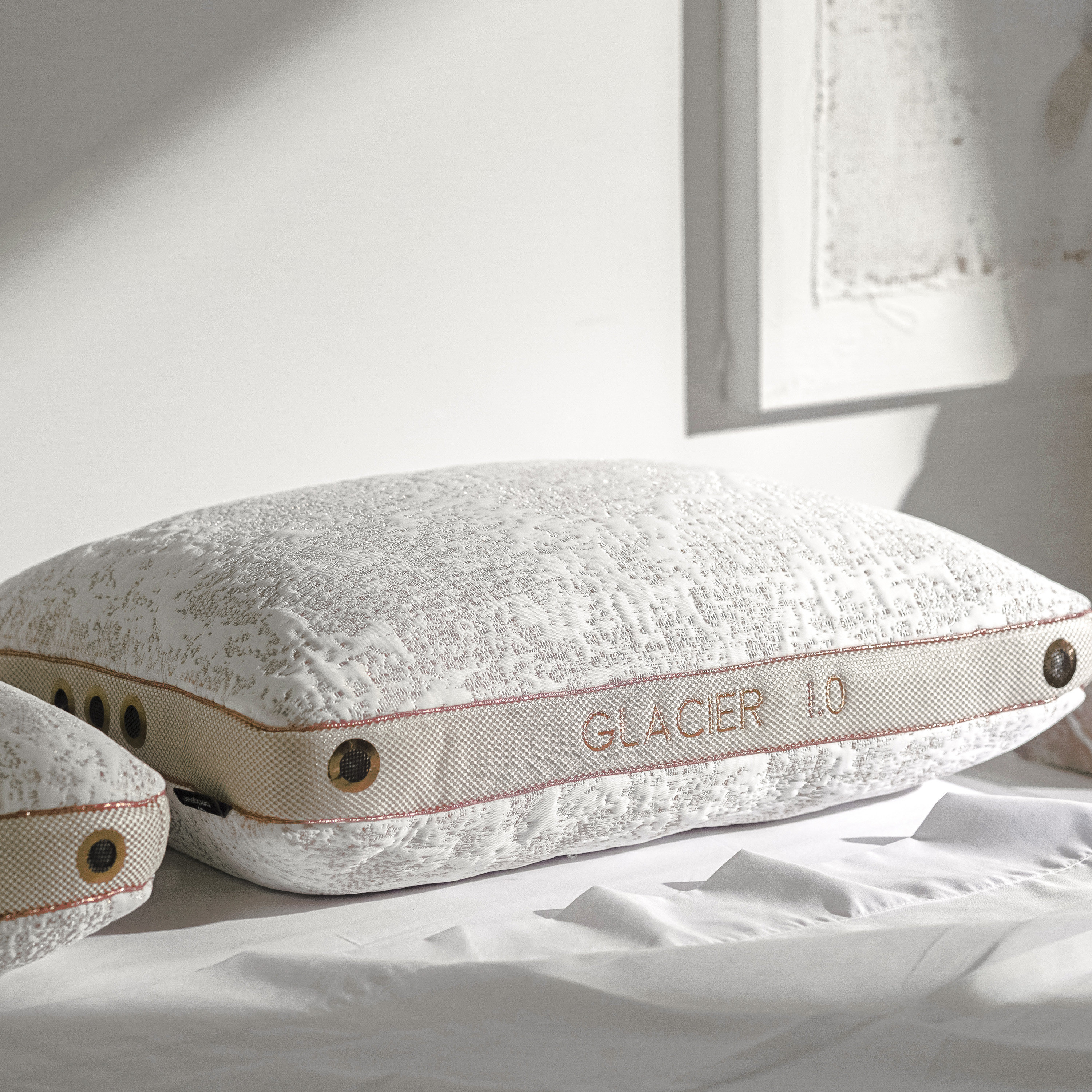 Sealy  Dream Lux Soft Support Pillow