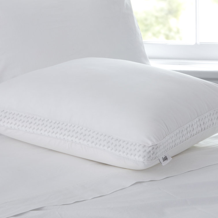 trtl pillow in stores