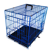 blue dog cage