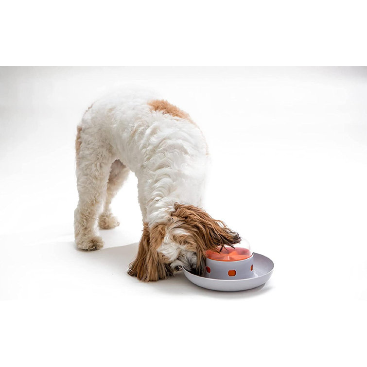 push button dog feeder
