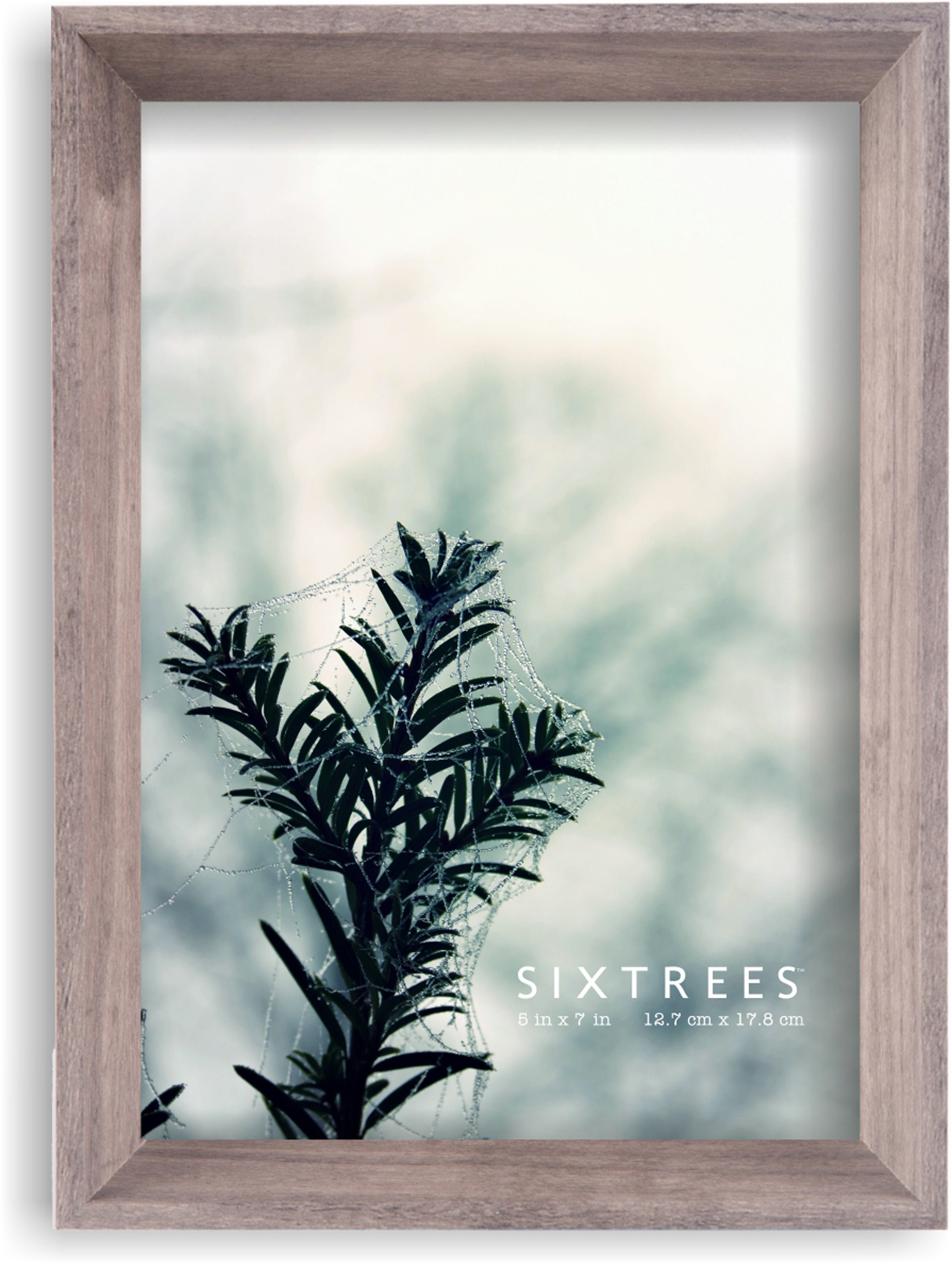 Sixtrees USA Ltd. Wood Picture Frame Wayfair