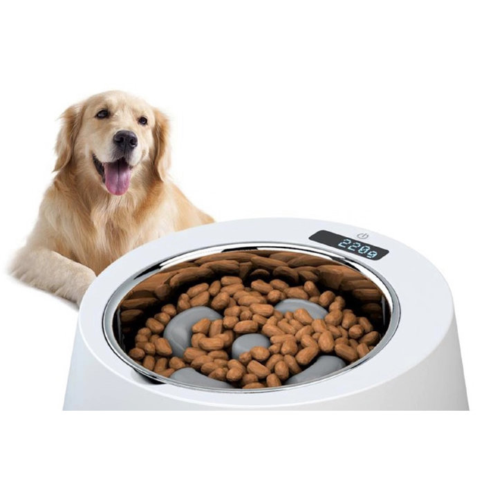 Hugsmart Pet Slow Feeder Wayfair Ca