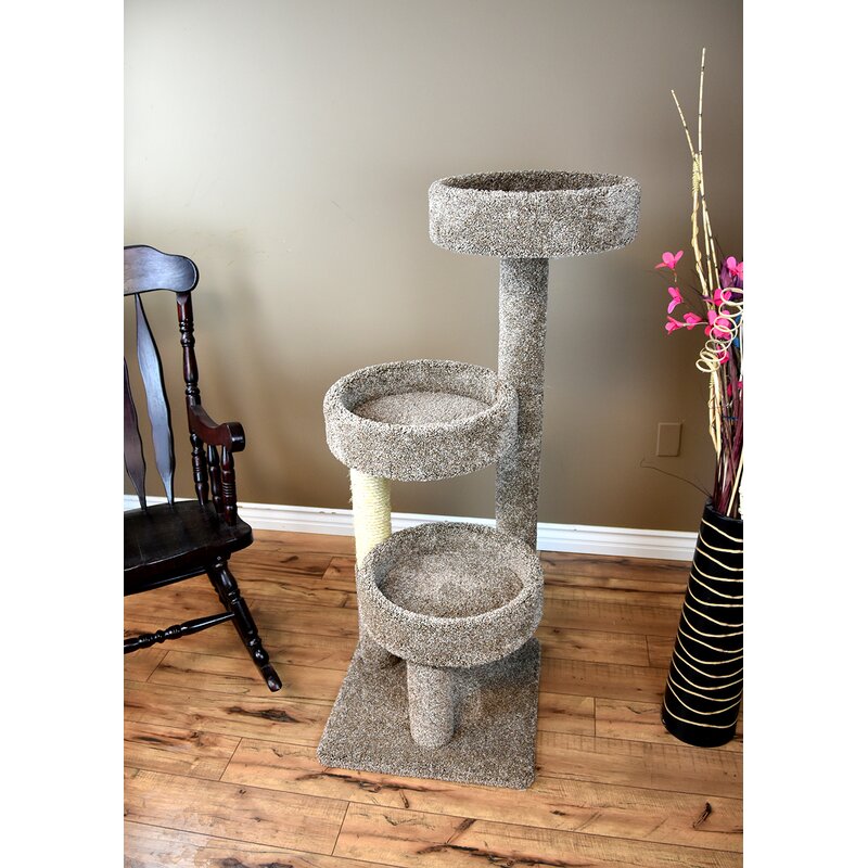 carpeted cat trees and condos