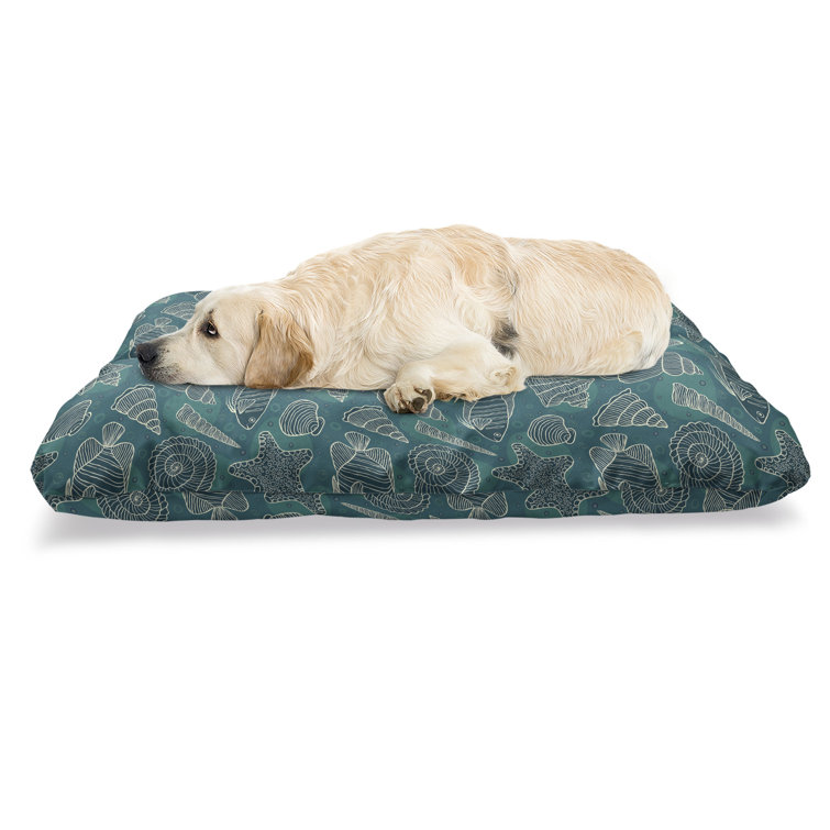 teal dog bed