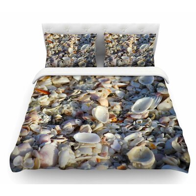 Seashells On The Beach By Philip Brown Coral Nature Featherweight