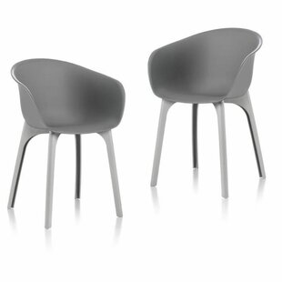 Brisbane Idea Garden Chair (Set Of 2) By Ebern Designs
