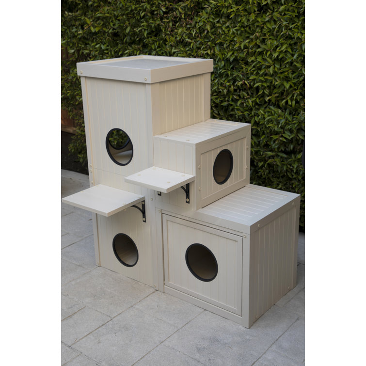 ecoflex kitty klimber