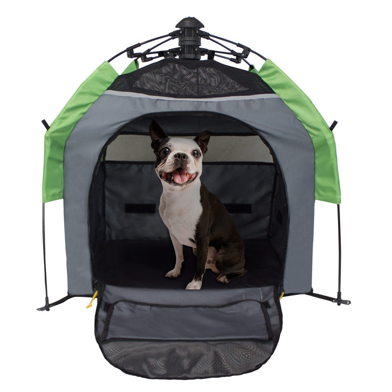 small pet tent
