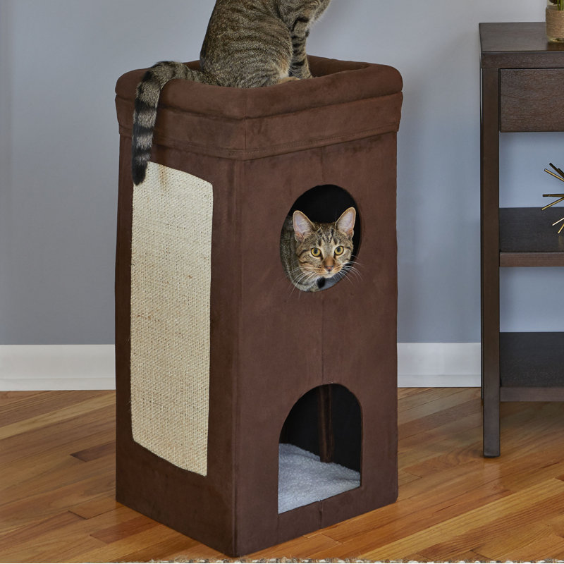 Archie & Oscar 31'' Dmitri Cat Condo & Reviews Wayfair