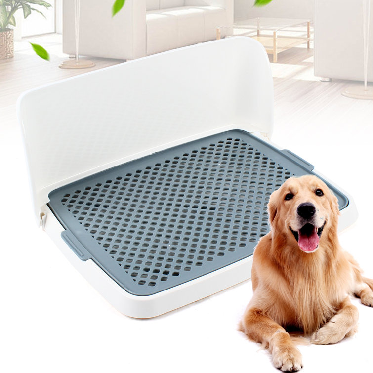 dog potty training tray