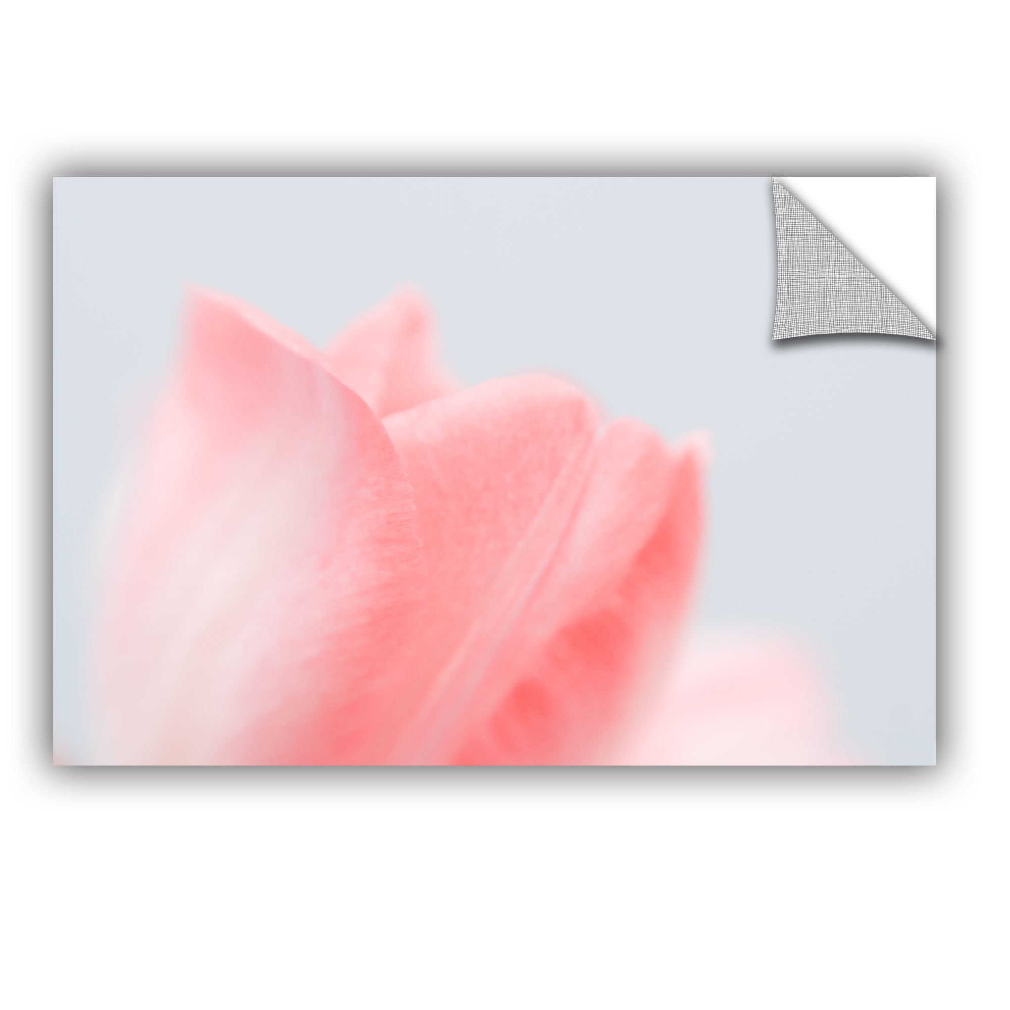 Artwall Judy Stalus Pale Pink Tulip Removable Wall Decal Wayfair
