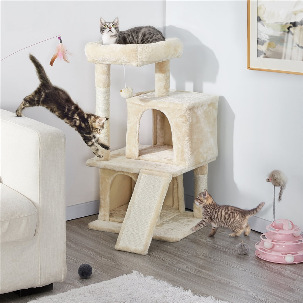 Tucker Murphy Pet™ 36" Therese Cat Tree & Reviews Wayfair