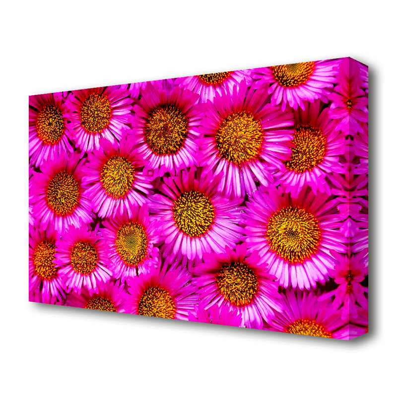 East Urban Home Sea Of Pink Flowers Flowers Canvas Print Wall Art