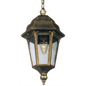 Astor 1-Light Outdoor Hanging Lantern