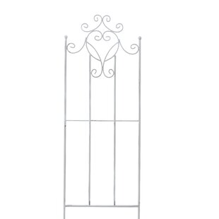 Jagger Iron Gothic Trellis By Lily Manor