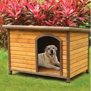 Lories Dog House By By Andrew Home Studio