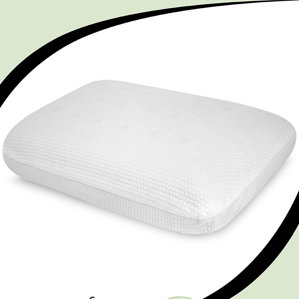 On the Go Memory Foam Standard Pillow by BioPEDIC