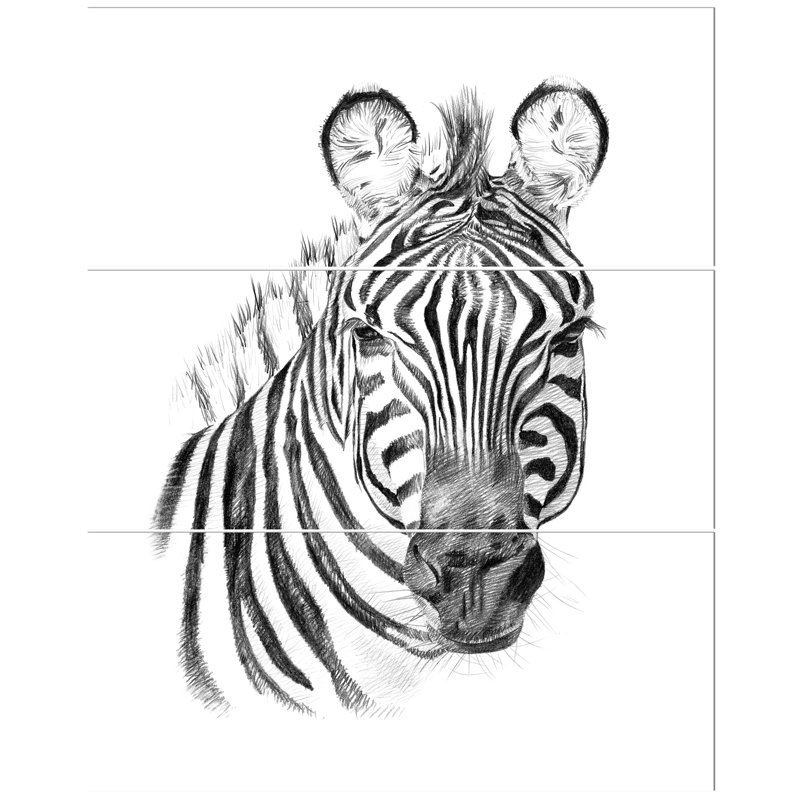 East Urban Home Pencil Zebra Sketch In Black And White Oil