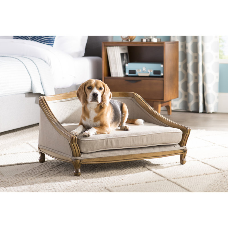 Archie Oscar Anita Sophisticated Decorative Dog Sofa With Arched Wood Frame Reviews Wayfair