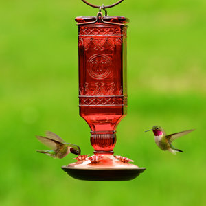 Square Antique Bottle Glass Hummingbird Feeder