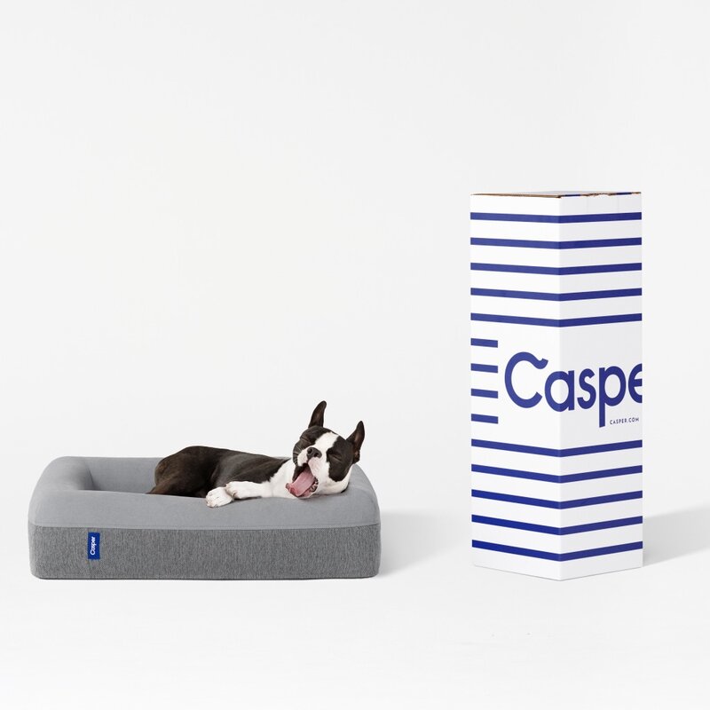 casper dog bed dimensions