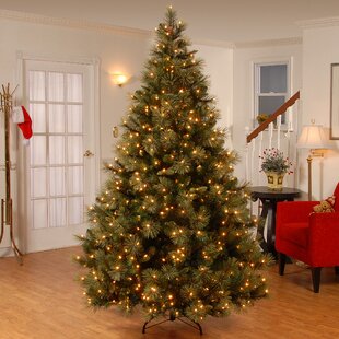 Christmas Tree PreLit Fiber Optic Pine LED Light Xmas Decor Frosted Aurora 2-6FT 