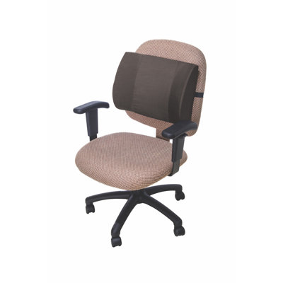 Back Support Essential Medical Supply
