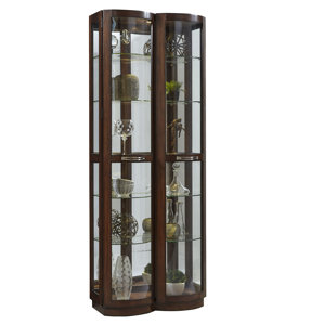 Byrnes Pacific Lighted Curio Cabinet by Red Barrel Studio