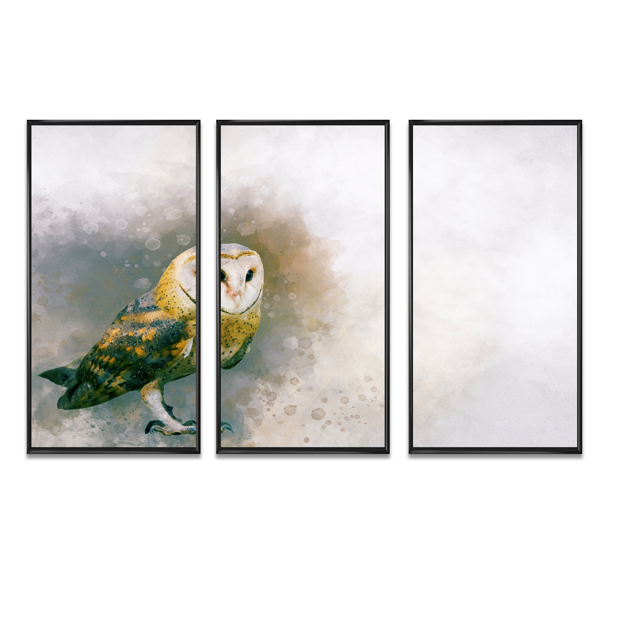 Millwood Pines Portrait Of A Barn Owl - 3 Piece on | Wayfair