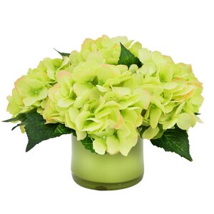 Green Hydrangea in Glass Vase