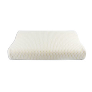 Ergonomic Premium Memory Foam Standard Pillow by Alwyn Home