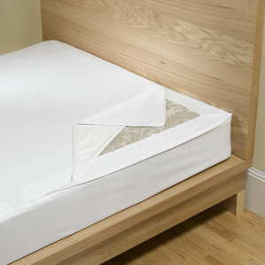 SecureSleep Home Smart Buy Pack Mattress Protector by BedBug
